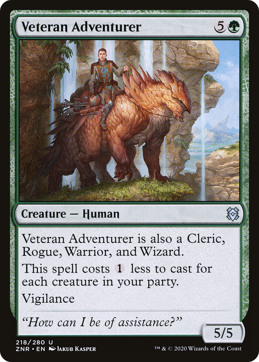 Veteran Adventurer - Foil