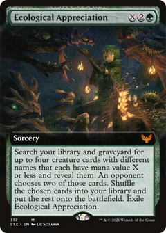 Ecological Appreciation (317) (Extended Art)