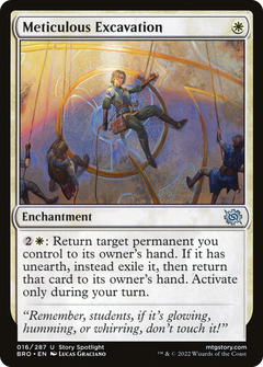 Meticulous Excavation - Foil