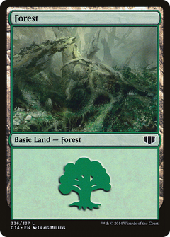 Forest (336)
