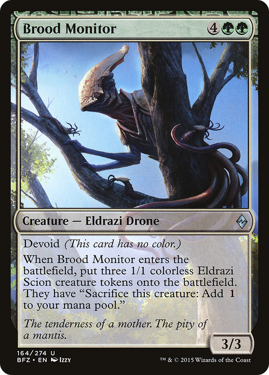 Brood Monitor - Foil