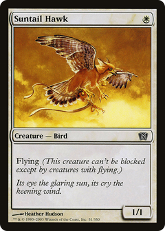 Suntail Hawk - Foil