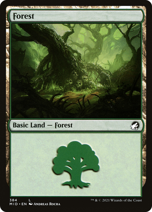 Forest (384)