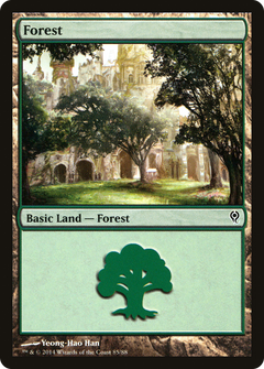 Forest (85)