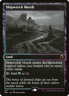 Shipwreck Marsh - Foil
