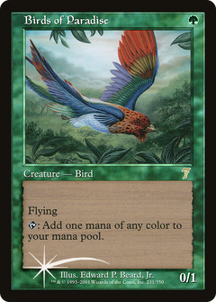 Birds of Paradise - Foil