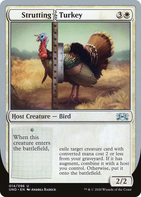 Strutting Turkey