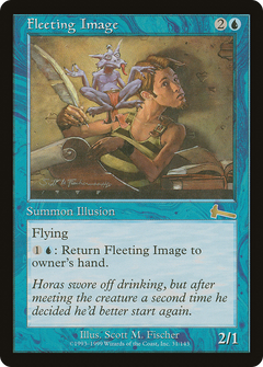 Fleeting Image - Foil