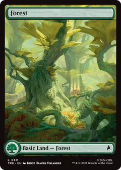 Forest (0311) (TRK)