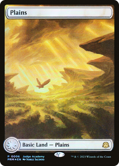 Plains (0006) (Judge Academy) - Foil