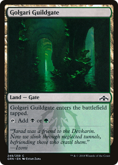 Golgari Guildgate (249) - Foil