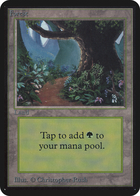 Forest (Path)