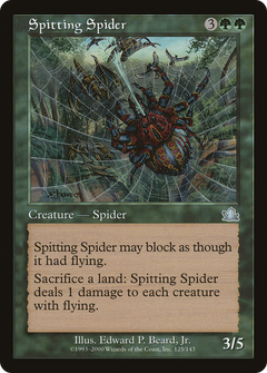 Spitting Spider - Foil