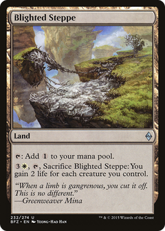 Blighted Steppe - Foil