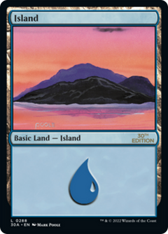 Island (288) (Modern Frame)