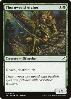 Thornweald Archer - Foil