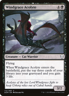 Windgrace Acolyte - Foil