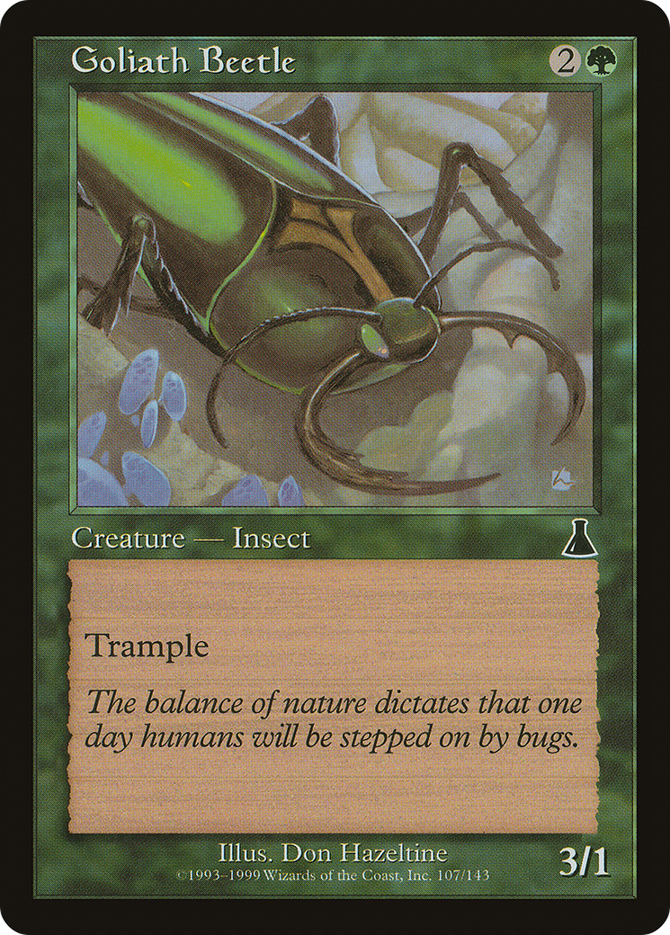 Goliath Beetle - Foil