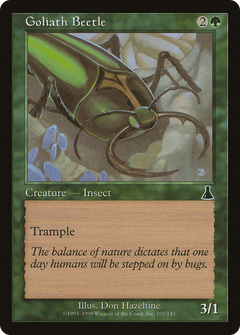 Goliath Beetle - Foil