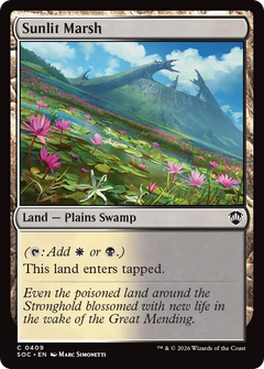 Sunlit Marsh (SOC)