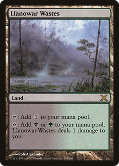 Llanowar Wastes - Foil