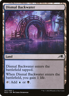 Dismal Backwater - Foil