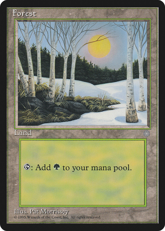 Forest (Blue Sky)