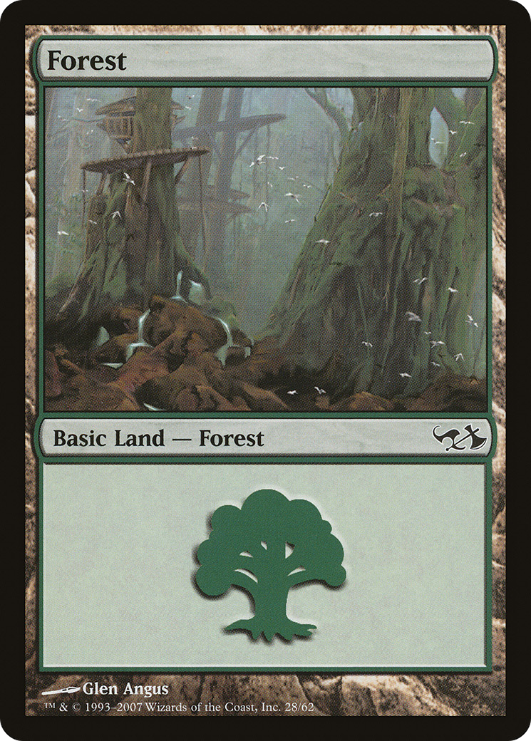 Forest (28)
