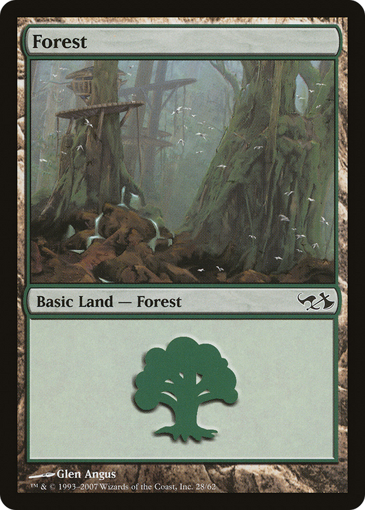 Forest (28)