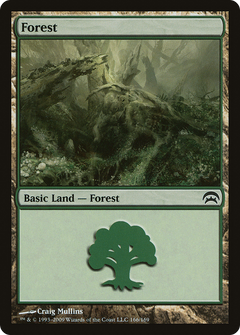 Forest (166)