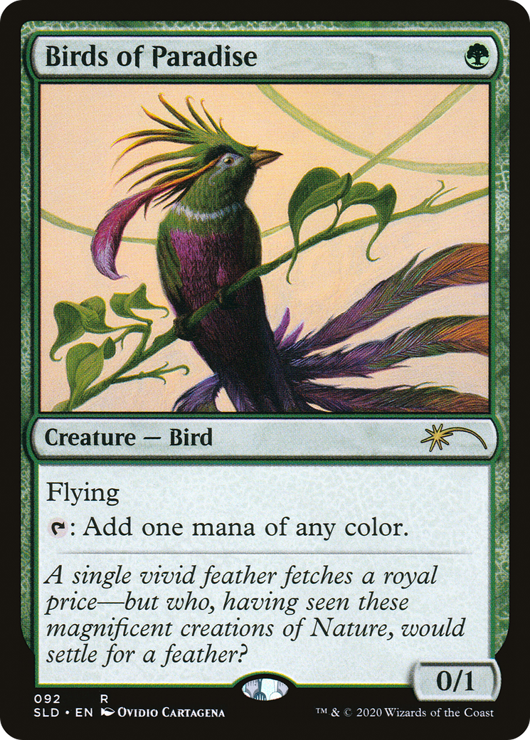 Birds of Paradise (092)