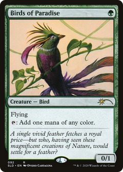 Birds of Paradise (092)