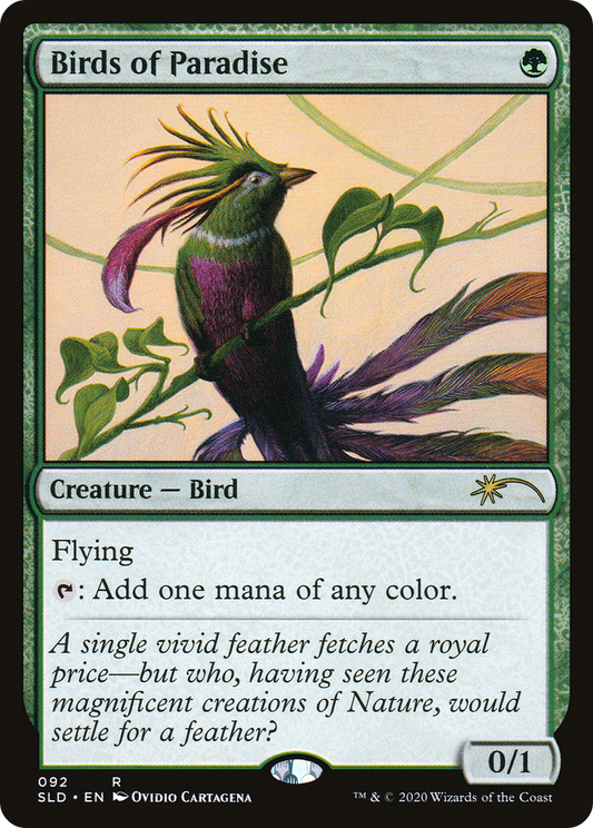 Birds of Paradise (092)