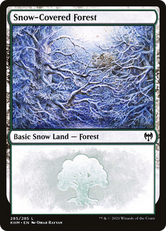 Snow-Covered Forest (285)