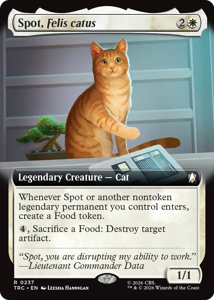 Spot, Felis catus (0237) (Extended Art) (TRC)