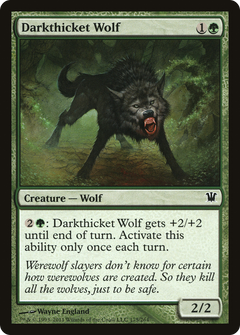 Darkthicket Wolf - Foil