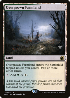 Overgrown Farmland (265) (Promo Pack)