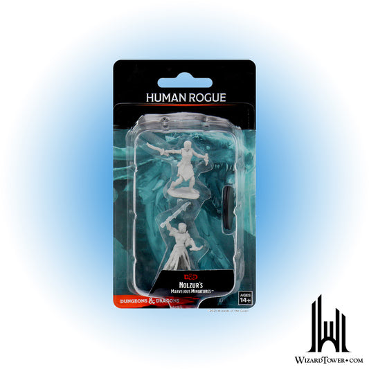 Unpainted Miniature - Dungeons & Dragons - Female Human Rogue