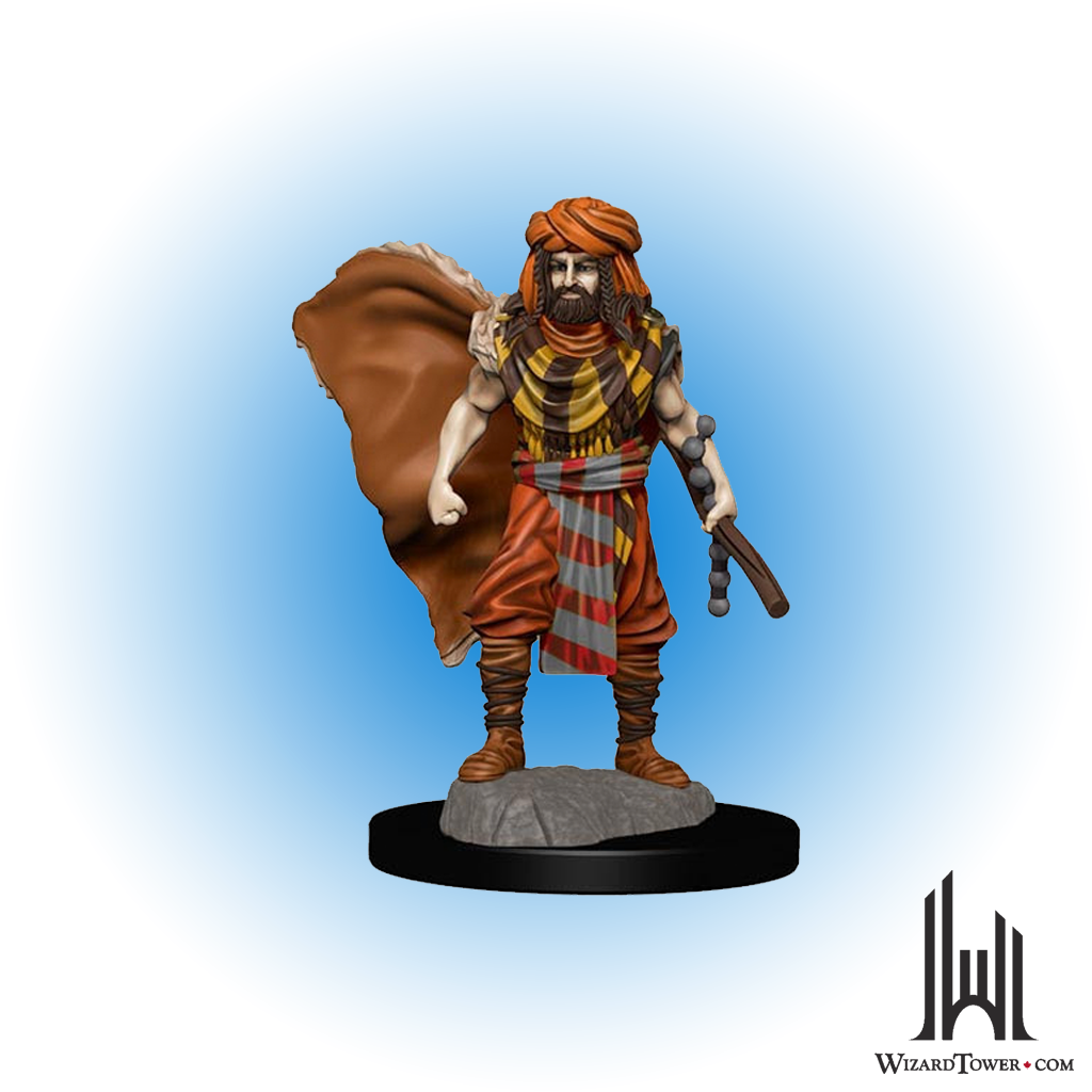 Dungeons & Dragons Premium Figures - Male Human Druid
