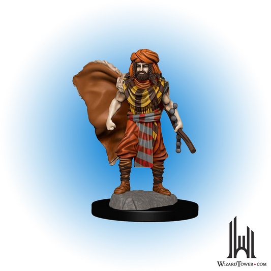 Dungeons & Dragons Premium Figures - Male Human Druid