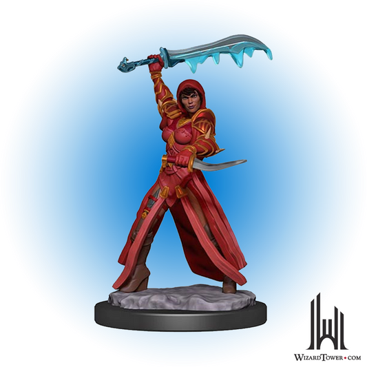Dungeons & Dragons Premium Figures - Female Human Rogue