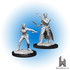 Unpainted Miniature - Dungeons & Dragons - Shifter Rogue